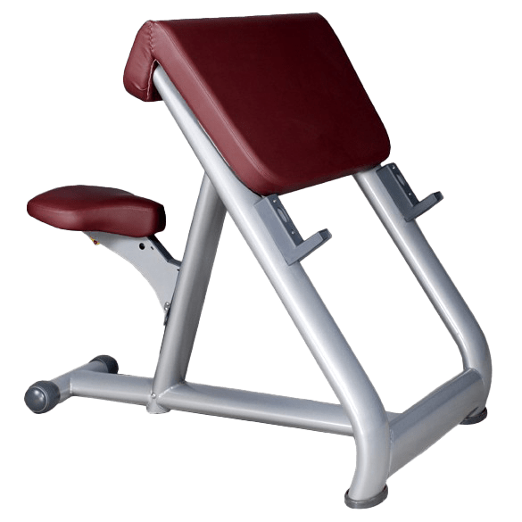 Preacher curl bicepbank - YOURGYMLABEL